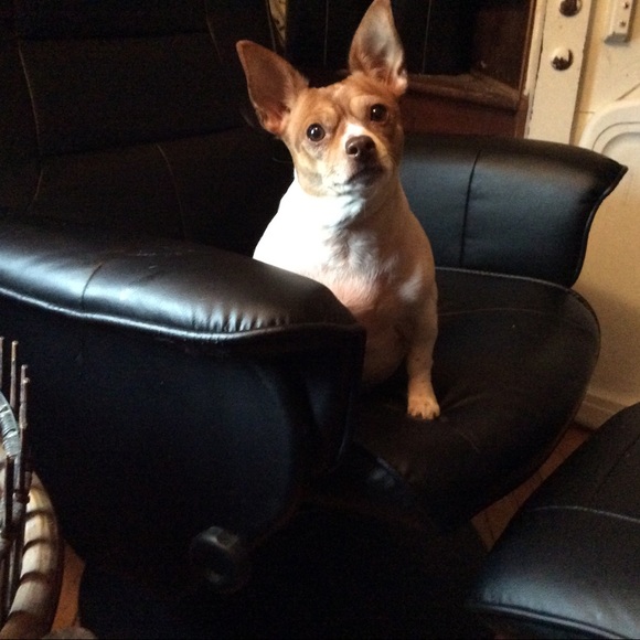 Meet your Posher, Linda - Picture 7 of 7